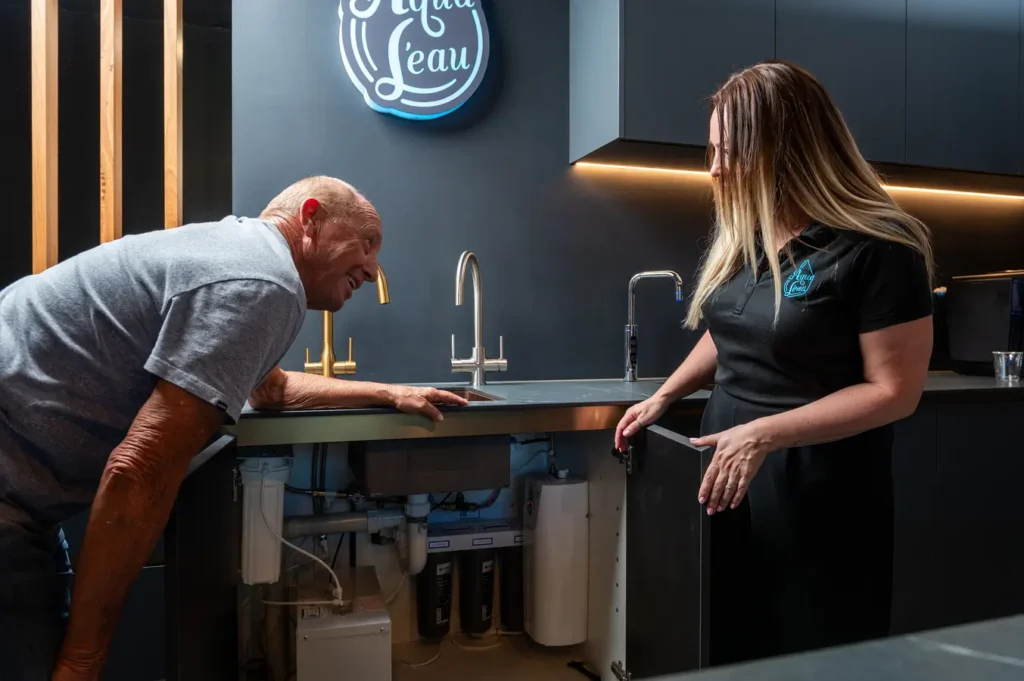 dual cartridge filter perth